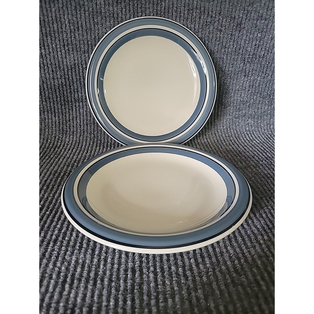 2 Pc Chromatics Stoneware 9.5" Dinner Plate Japan
